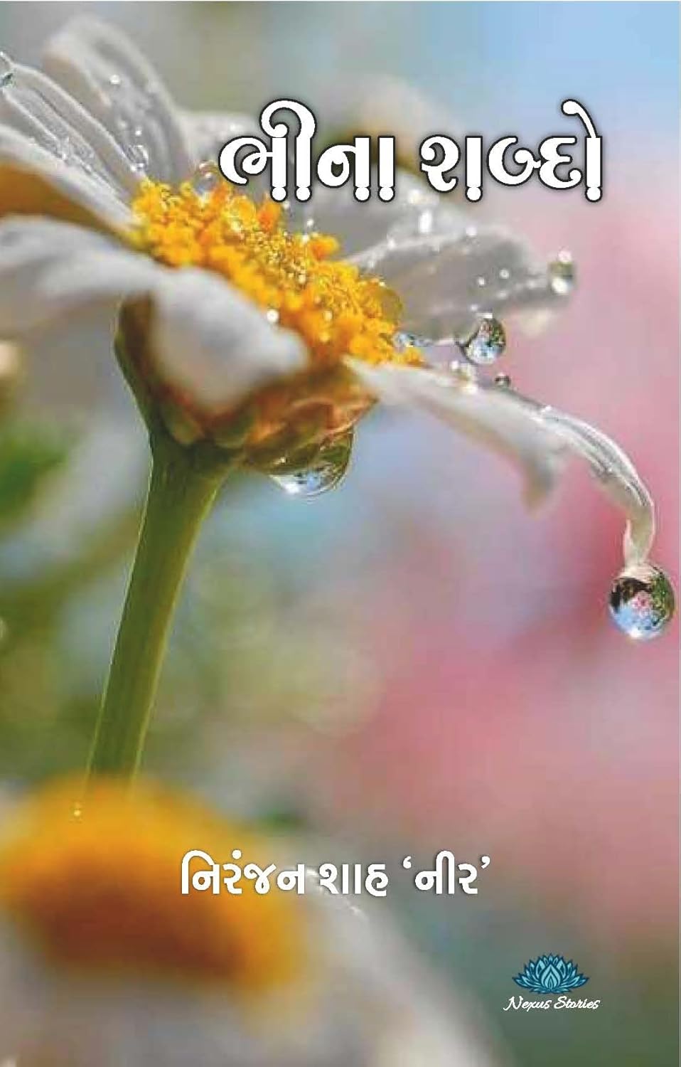Bhina Shabdo cover